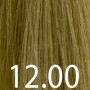12.00 (супер-блонд натуральный интенсивный)